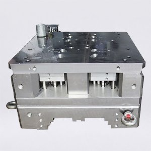 mold17